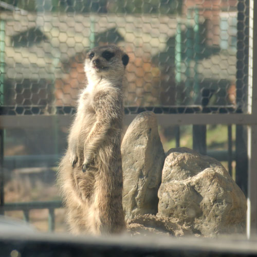 桐生が岡動物園